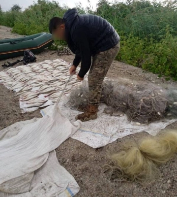 На Одещині браконьєри рибною ловлею завдали колосальних збитків державі
