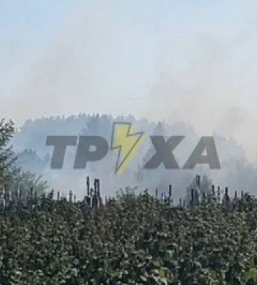 На Волині загорілося сміттєзвалище неподалік від лісу