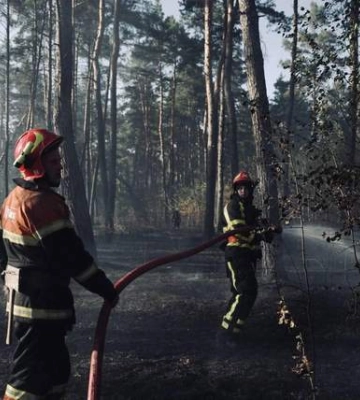 В Киеве спасатели тушили масштабные лесные пожары