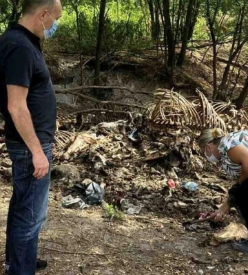 На Львівщині невідомі викинули рештки тварин у лісі: поліція береться за рослідування