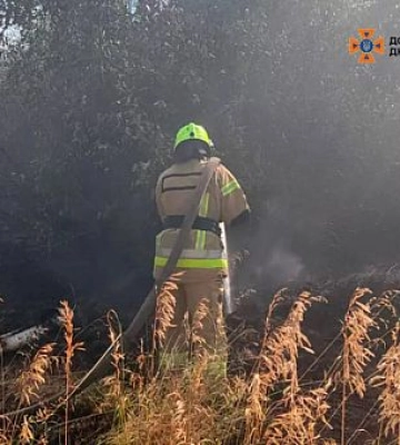 У Кривому Розі внаслідок пожежі вигоріло 8 га підстилки лісу