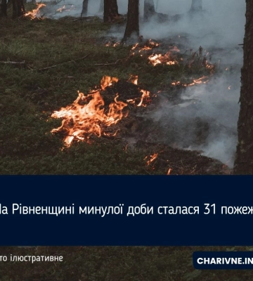 За добу на Волині сталося 23 пожежі в екосистемах. Є загиблий