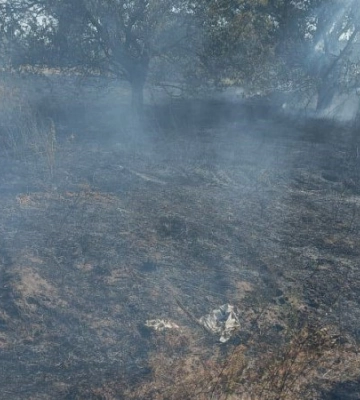У Черкаському на Донеччині окупанти вбили трьох жінок та поранили двох чоловіків