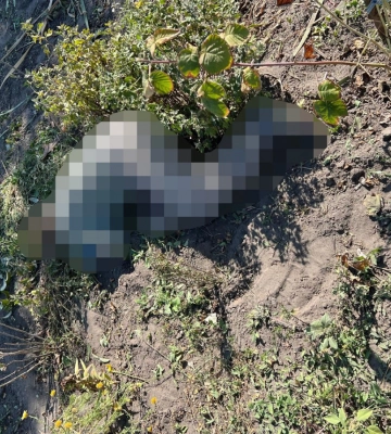 Загарбники завдали авіаційного удару по Сумах: двоє загиблих, четверо поранених