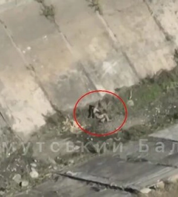 Поранений окупант підірвав себе гранатою на Донеччині. ВIДЕО