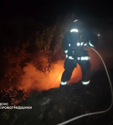 На Кіровоградщині під час пожежі будинку врятували двох дітей