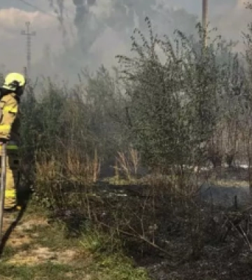 Майже 60 пожеж сухостою ліквідували надзвичайники Львівщини за добу
