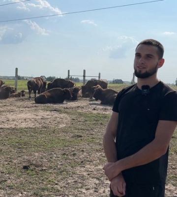 Американські бізони на Рівненщині: де живуть тварини та як за ними доглядають