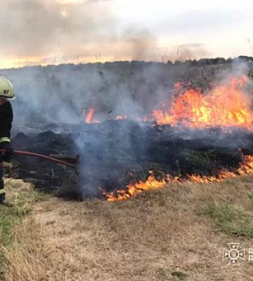 На Дніпропетровщині протягом доби вогонь знищив 134 гектари трав’яного настилу