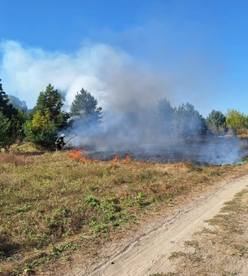 Горіли ліс, трава та чагарники: на Волині за день сталося 19 пожеж в екосистемах