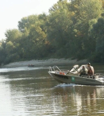 У Десні біля Чернігова місцями зафіксовано масовий замор риби У Десні біля Чернігова місцями зафіксовано масовий замор риби