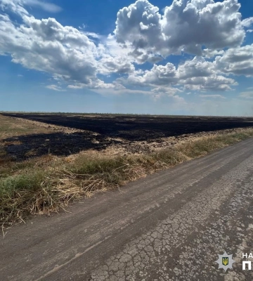 Жителю Одещини загрожує позбавлення волі за підпал поля, - ФОТО