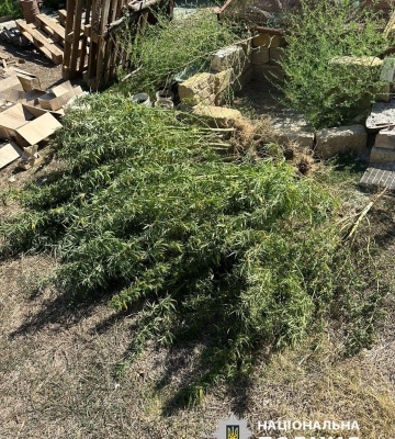 У мешканця Одеської області вилучили дев’ять кілограмів наркотиків