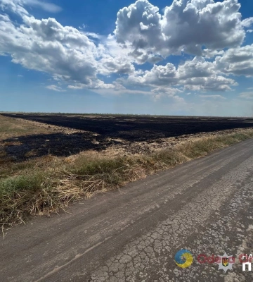 Судитимуть жителя Одещини, який умисно підпалив землі сільськогосподарського призначення