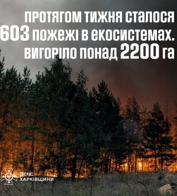 На Харківщині знищено російський ЗРК «Тор»