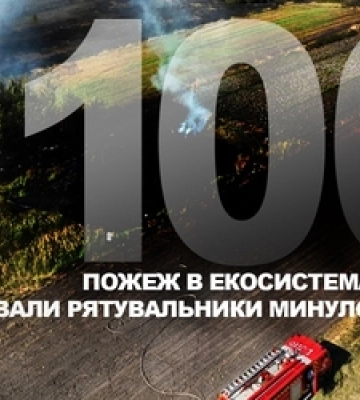 Горіли ліс, трава та чагарники: на Волині за день сталося 19 пожеж в екосистемах