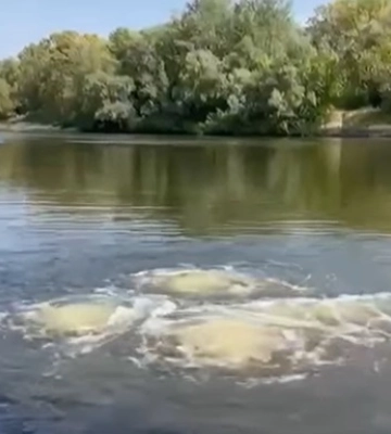 Вода в Десне под Черниговом потемнела - мэрия