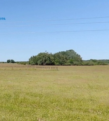 Собственность НБУ продали по заниженной стоимости: кого подозревают в халатности