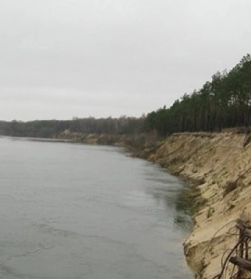 У Десні біля Чернігова потемніла вода: зафіксовано масовий мор риби