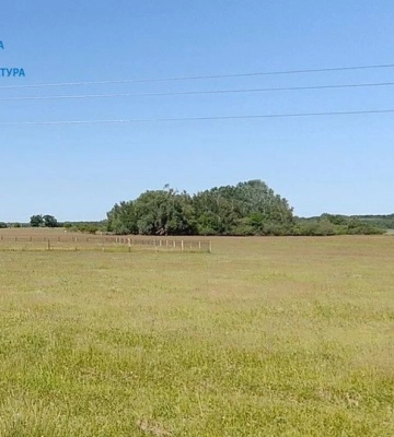 Начальнику відділу НБУ оголосили підозру у справі про земельну оборудку на ₴5 мільйонів