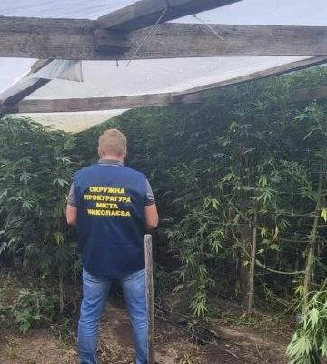 У Миколаєві ліквідовано канал постачання наркотиків