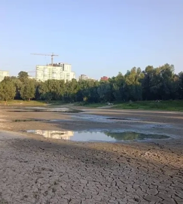 Порятунок озера Синє: "Плесо" обрало підрядника для відновлення водойми