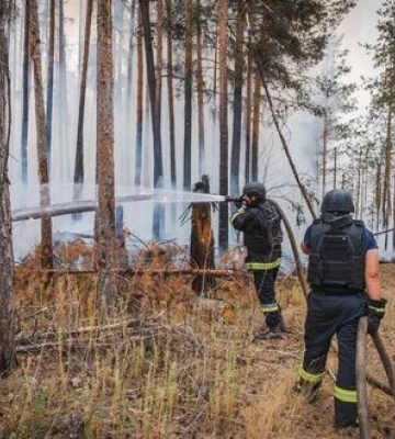 Ліквідовано масштабну лісову пожежу в природному парку &quot;Святі гори&quot; на Донеччині: Вогонь вирував 8 днів, знищено 43 житлові будинки. ФОТО