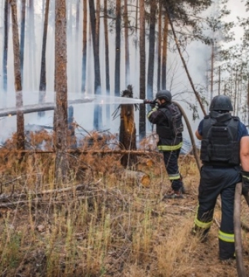 Ліквідували пожежу у нацпарку «Святі гори», яка тривала вісім днів