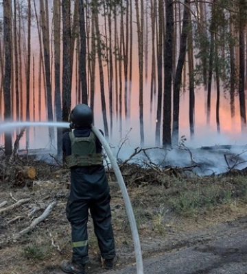 У нацпарку на Донеччині ліквідували лісову пожежу, що вирувала 8 днів