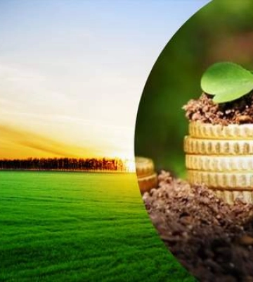 Як визначити суму податку на землю у 2024 році: покрокова інструкція