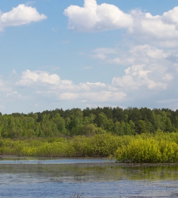 Забруднена вода “дійшла” до Чернігова: які загрози існують