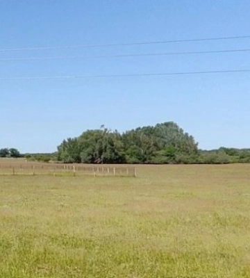 Банкіра підозрюють у продажу землі Нацбанку за заниженою ціною
