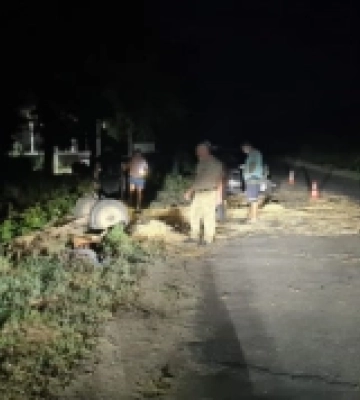 П'яний водій збив підводу в селі Білки: загинув кінь