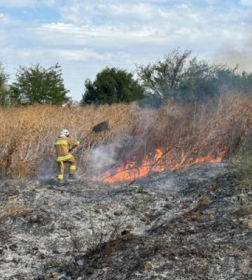 За добу на Миколаївщині зареєстровано 21 пожежу
