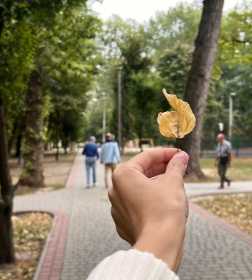 Парк по вулиці Молодіжній в Івано-Франківську: фотореп