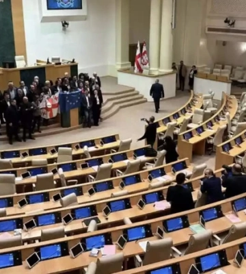 Рада Європи закликала Грузію утриматися від ухвалення закону про «сімейні цінності»