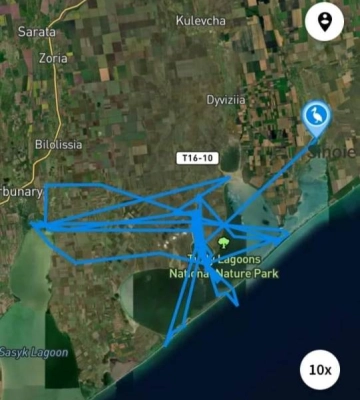 На Одещині помітили величезного птаха з супутниковим датчиком