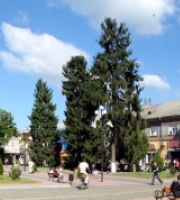 Як Тячів відзначатиме свою 695 річницю