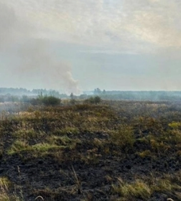 На Волині вигоріло 2 гектари торфу