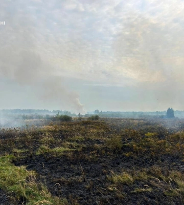На Волині вигоріло 2 гектари торфу