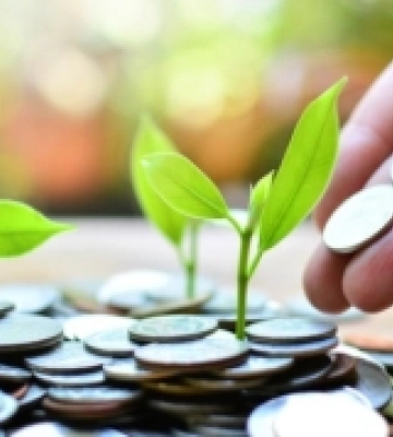 З початку 2024 року до місцевих бюджетів Закарпаття сплачено понад 5,7 млрд грн податків