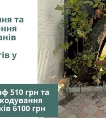 Екологічна інспекція оштрафувала підприємця, який спиляв дерева для встановлення кіоска