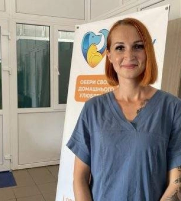 &quot;Безпритульні тварини — це результат дії людини&quot;. Як Миколаїв вирішує проблему з бездомними собаками та котами