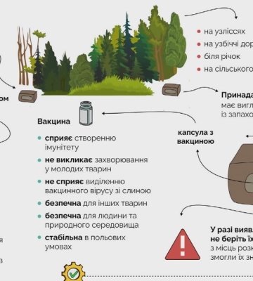 На Прикарпатті розпочалась кампанія з імунізації диких тварин проти сказу (відео)