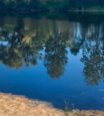 В Сейме на Сумщине вода постепенно очищается