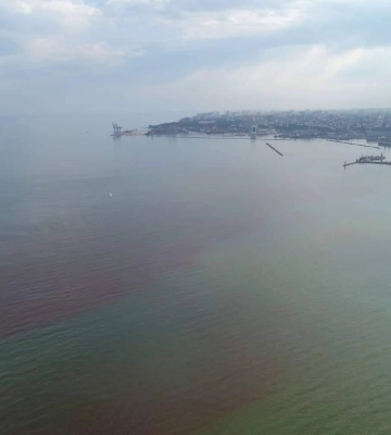 В Одесі червоніє море: якими можуть бути наслідки яскравого процесу