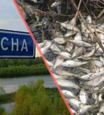 Забруднення води у Десні: чи можна пити воду з-під кранів у Дніпрі