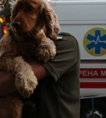 У Львові завершили рятувальні роботи після ракетного обстрілу: кількість постраждалих зросла до 64 людей