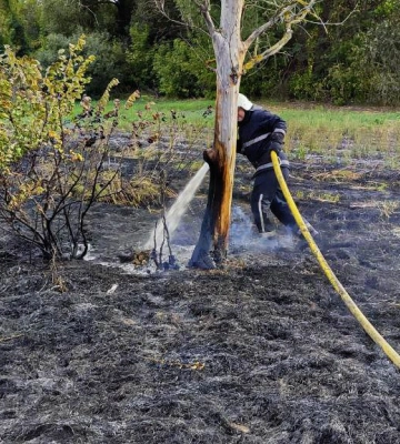 За минулу добу вогнеборці Сумщини 17 разів ліквідовували загоряння сухої рослинності
