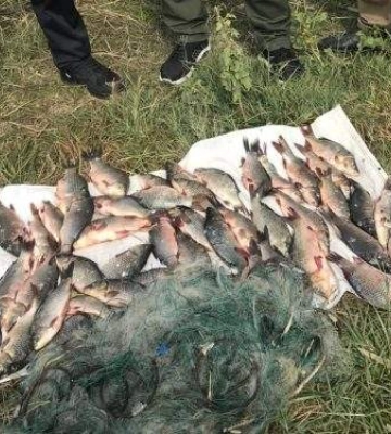 На Миколаївщині рибалка отримав великий штраф